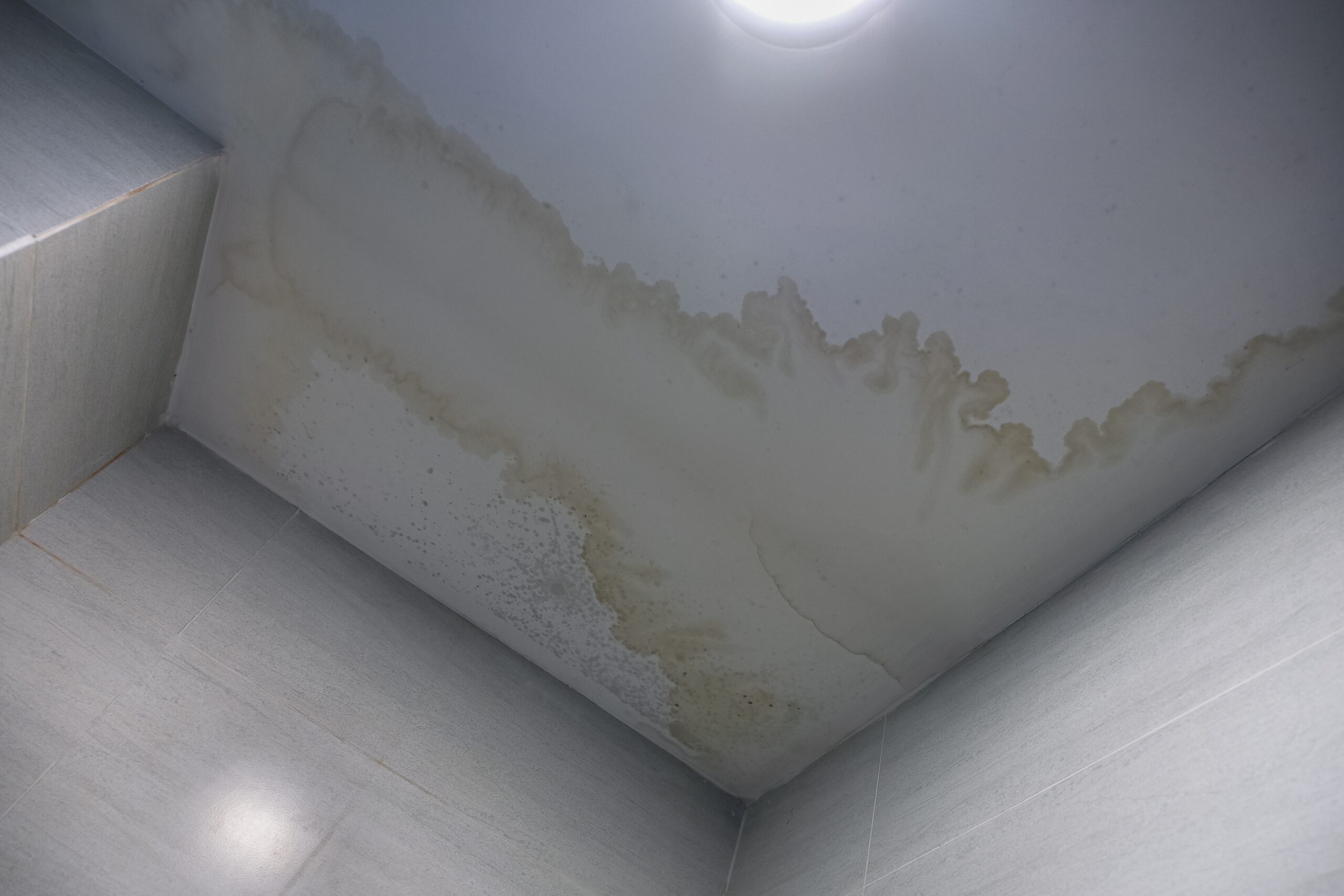 Comprar pintura térmica interior Imperlux Termic Indoor